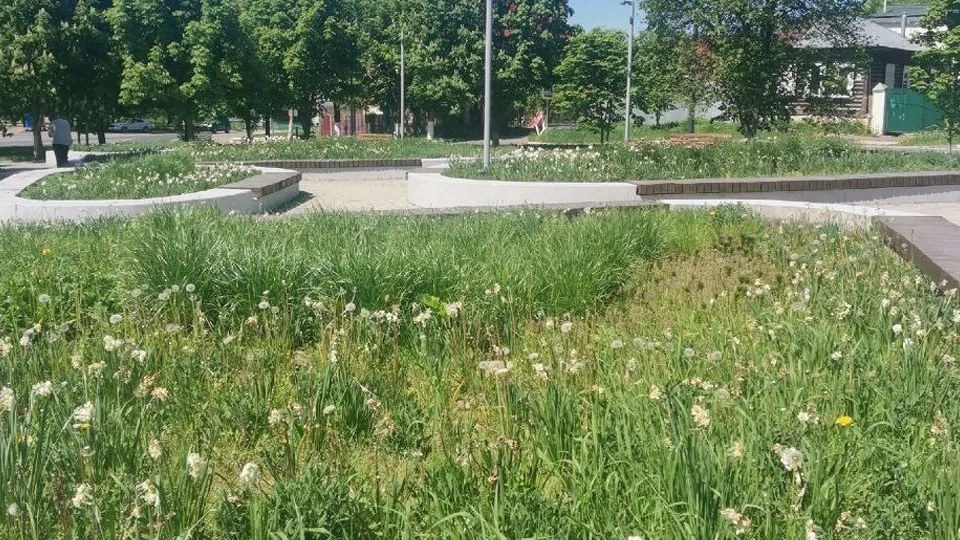 Фото: vk.com/Волоколамск Подслушано