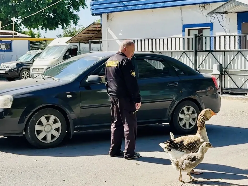 Фото: Ольга Стаферова