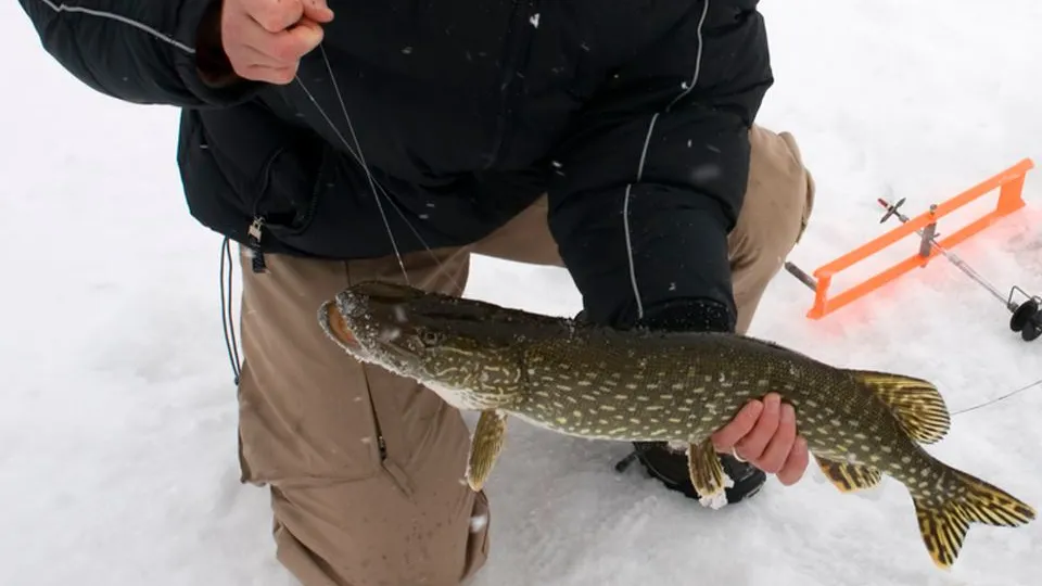 Фото: istockphoto.com