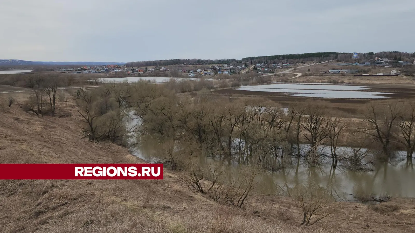 Фото: Андрей Семибратов