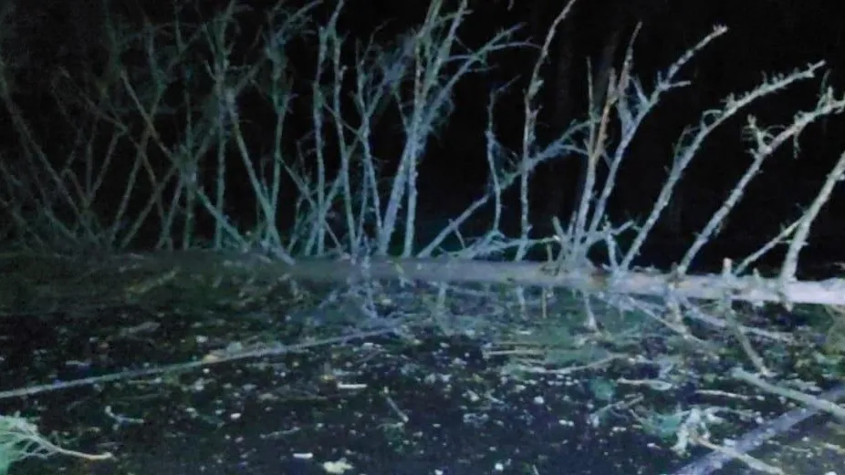 Фото: Подслушано Можайск / ВКонтакте