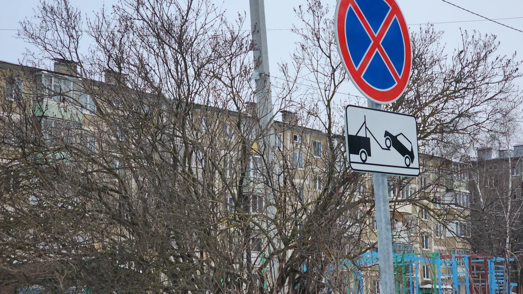 Фото: Владислава Соловьева