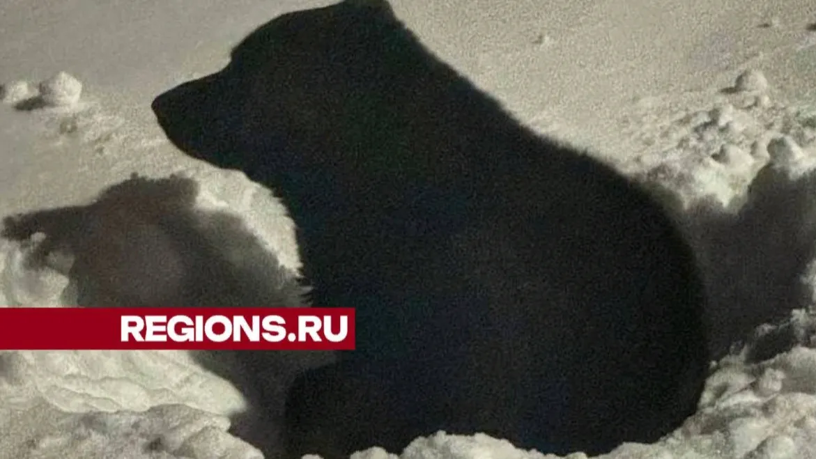 Фото жителей ЖК «Кореневский форт»