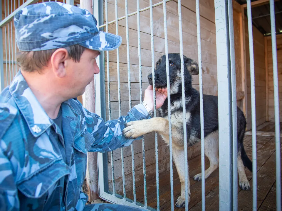 Фото: Нина Соколова