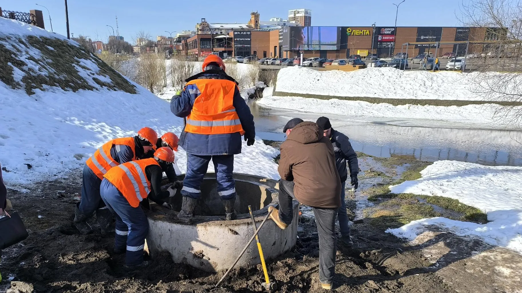 Анна Артюшина