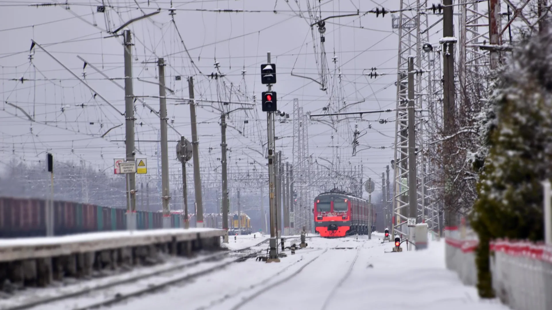 Фото: Оксана Лапшина
