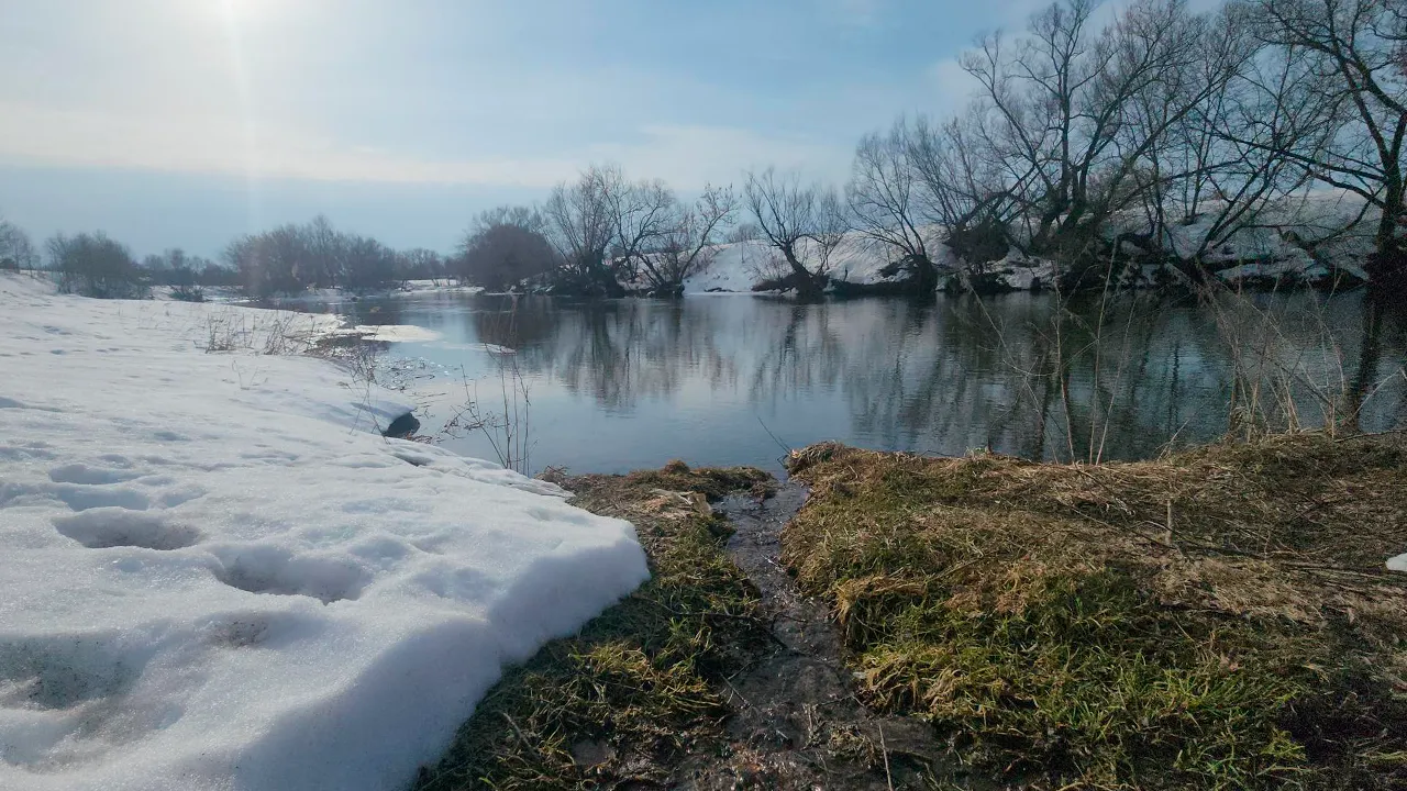 Маргарита Орлова