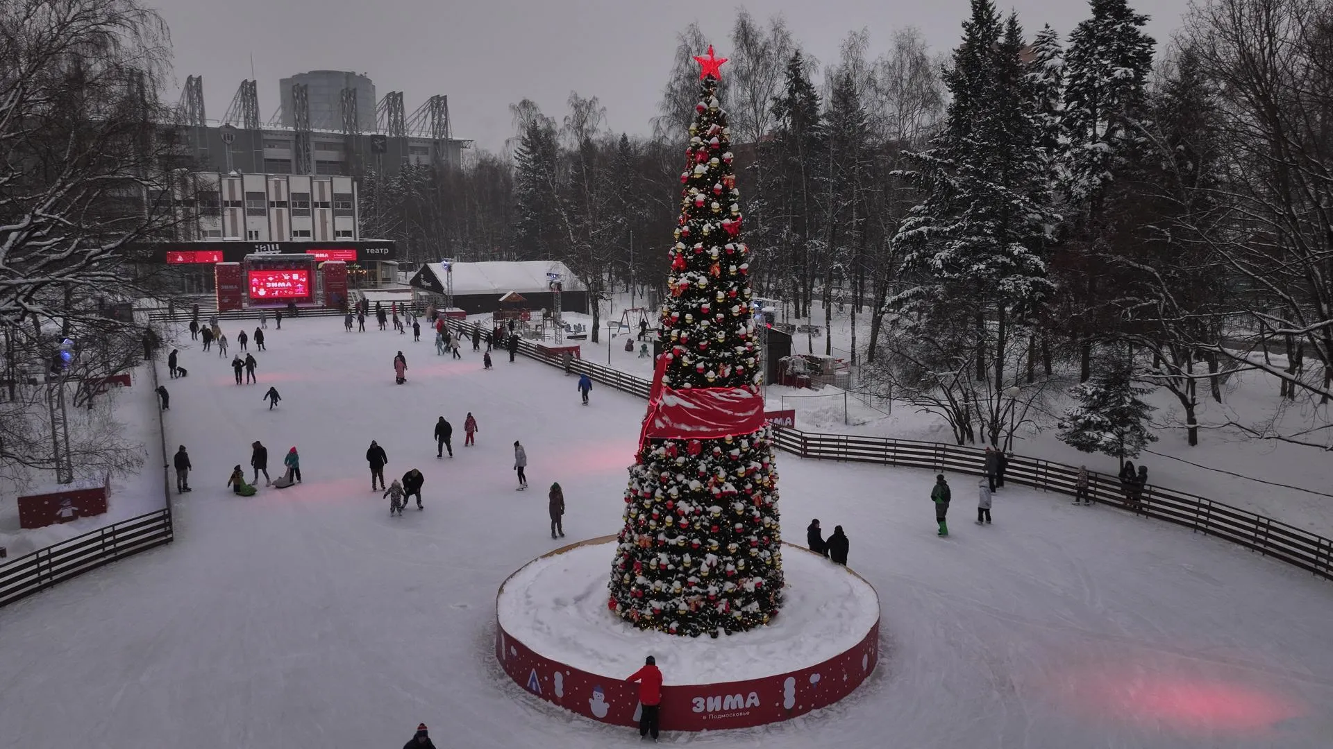 Дарья Московцева