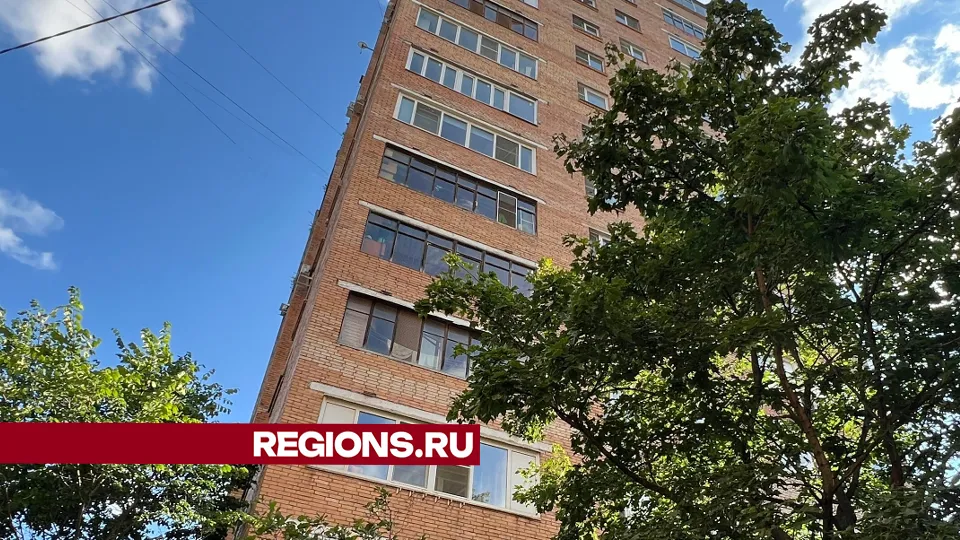 Фото: МедиаБанк Подмосковья/Валерия Ерофеева