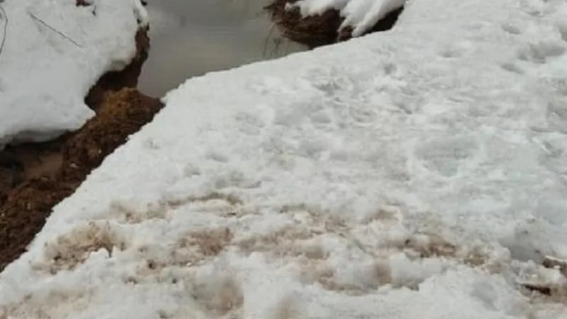 Фото: Министерство экологии и природопользования МО