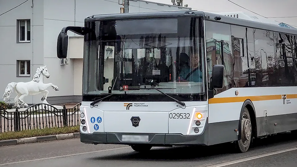 Фото: МедиаБанк Подмосковья/Ольга Антонова