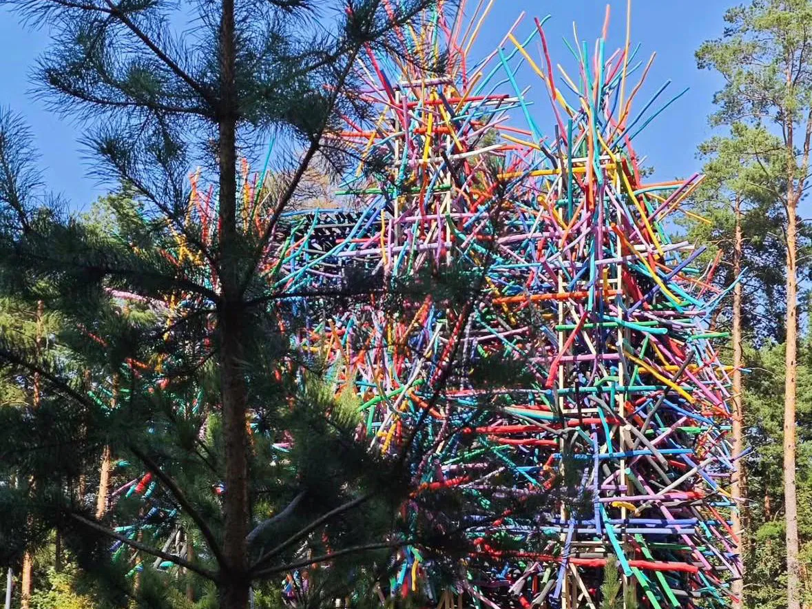 Фото: МБУ «Дирекция парков Одинцовского городского округа»