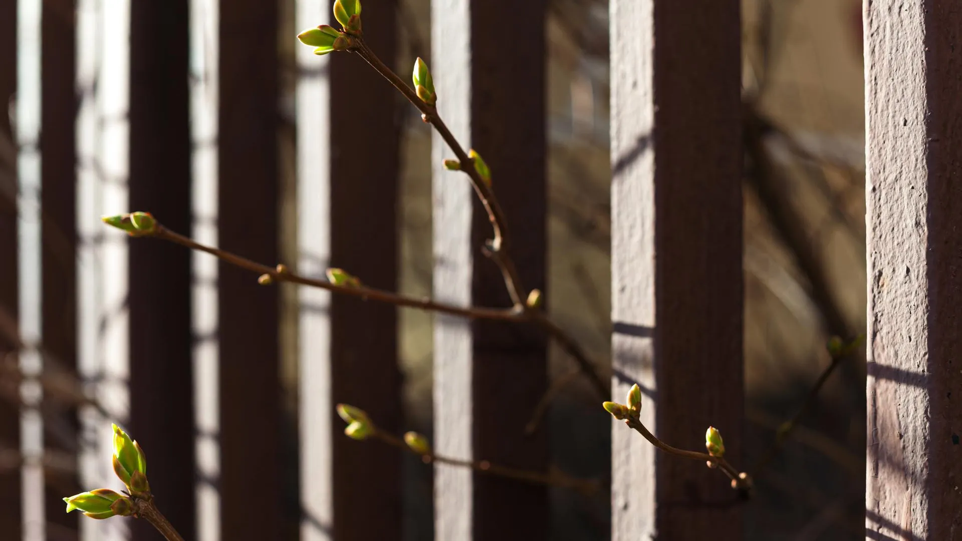 медиасток.рф