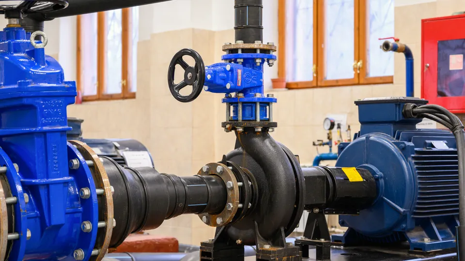 Фото: медиасток.рф