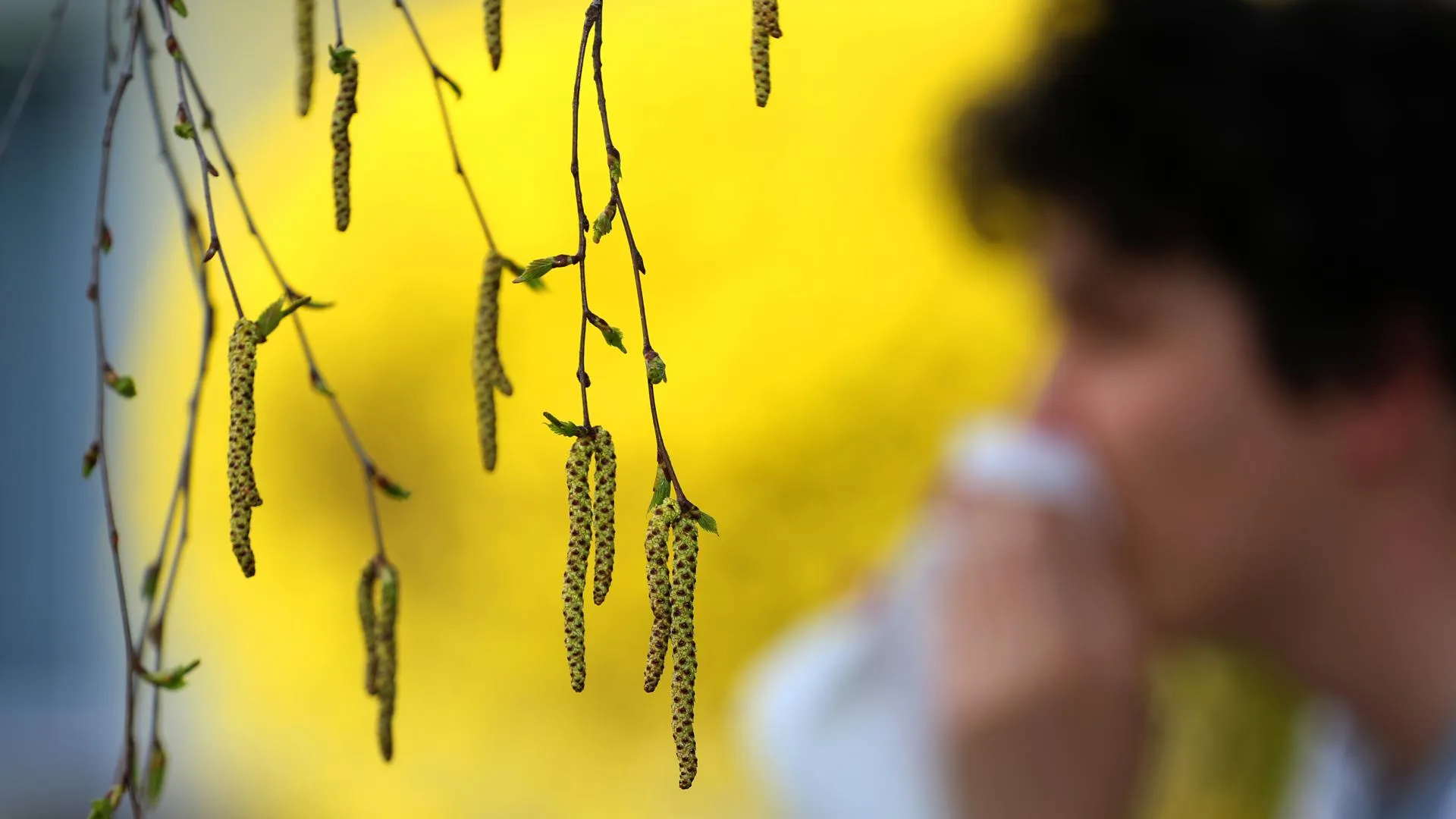 Karl-Josef Hildenbrand/dpa