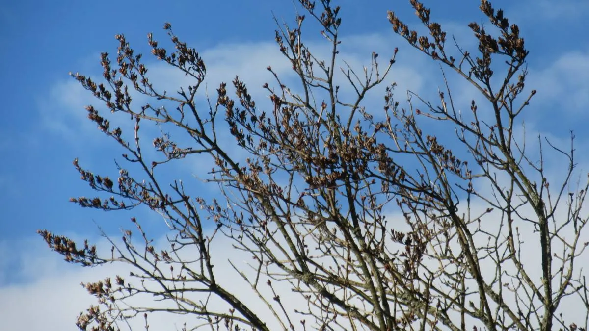 Фото: pxhere.com