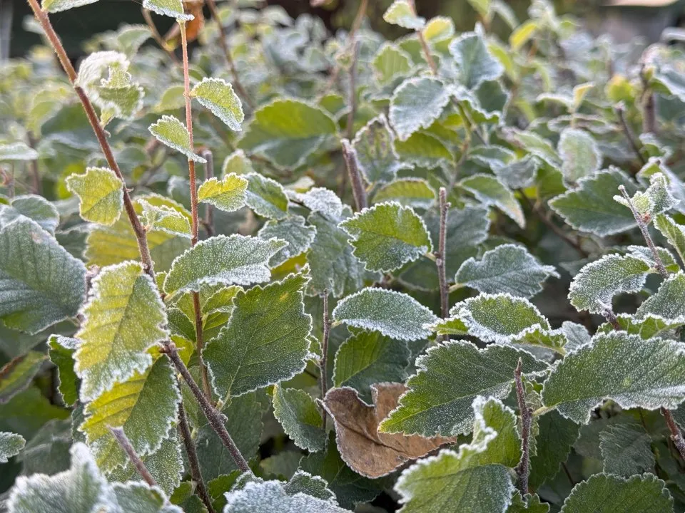 Фото: REGIONS/Илья Попов