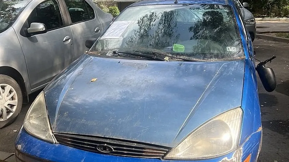 Фото: пресс-служба Администрации г.о. Волоколамск