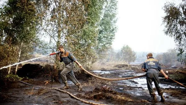 Более 74 тыс га торфяников на опасных участках обводнены в МО