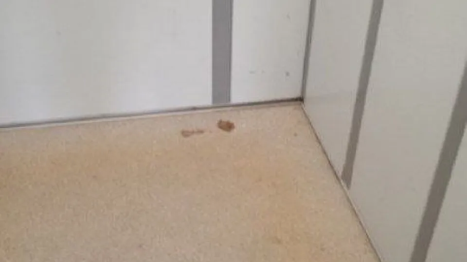 Фото: vk.com/Пущино | Не пропущено