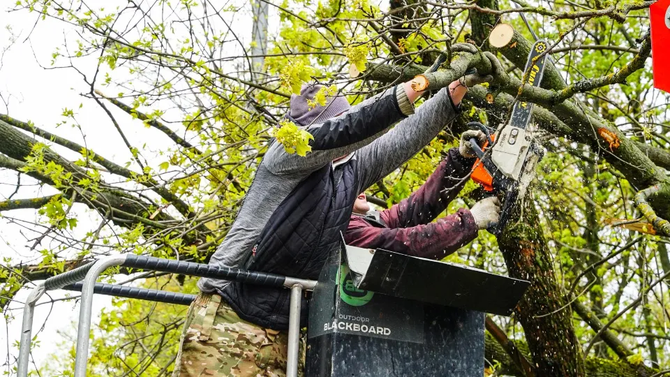 Фото: пресс-служба администрации г.о. Химки