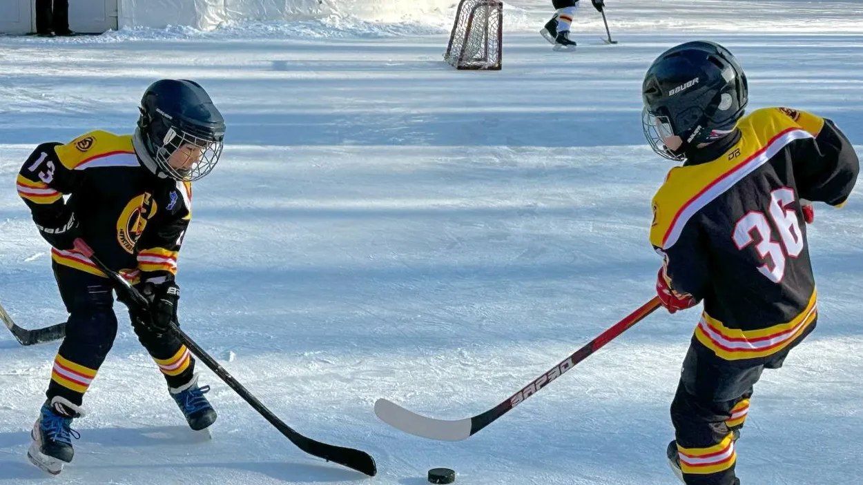 Фото: телеграм-канал «Парки Электростали»