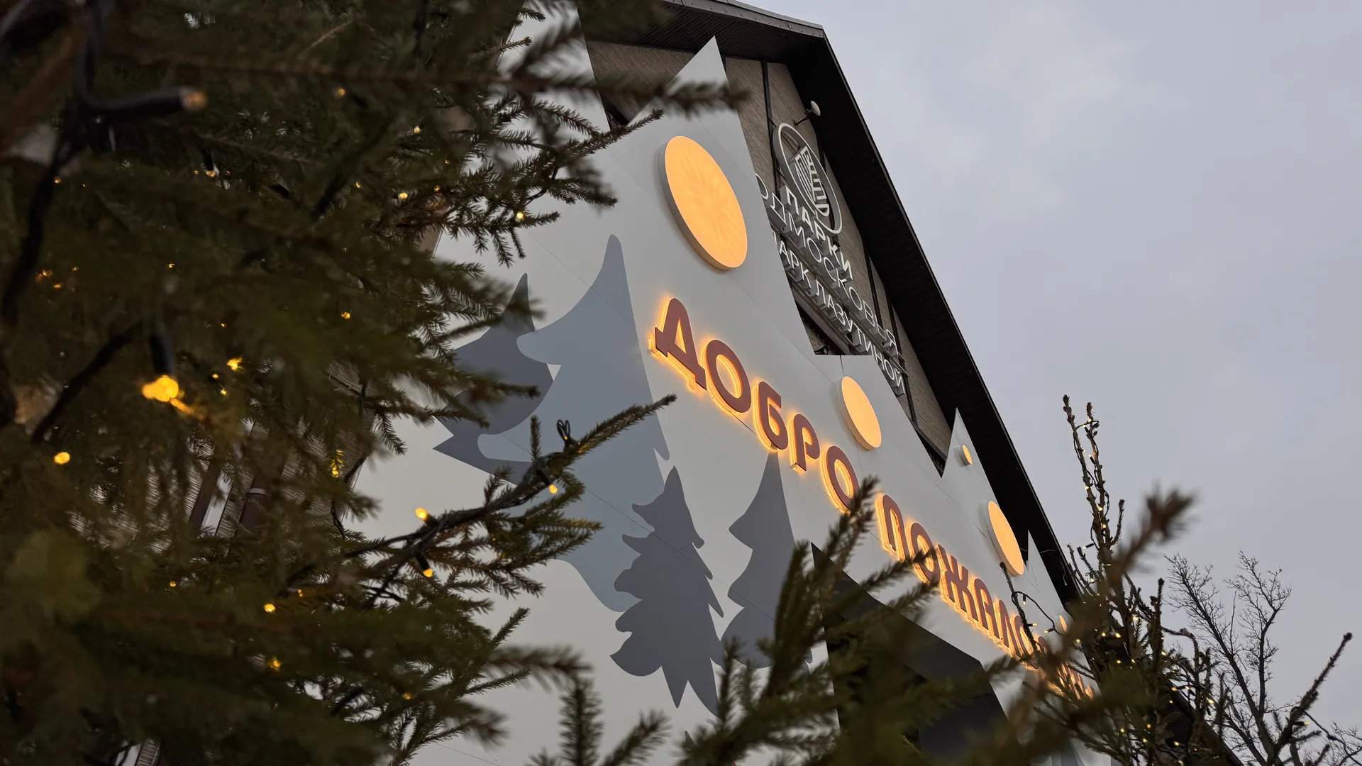 Фото: МедиаБанк Подмосковья/Мария Шматкова