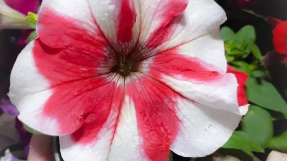 Фото: REGIONS/Юлия Габбасова