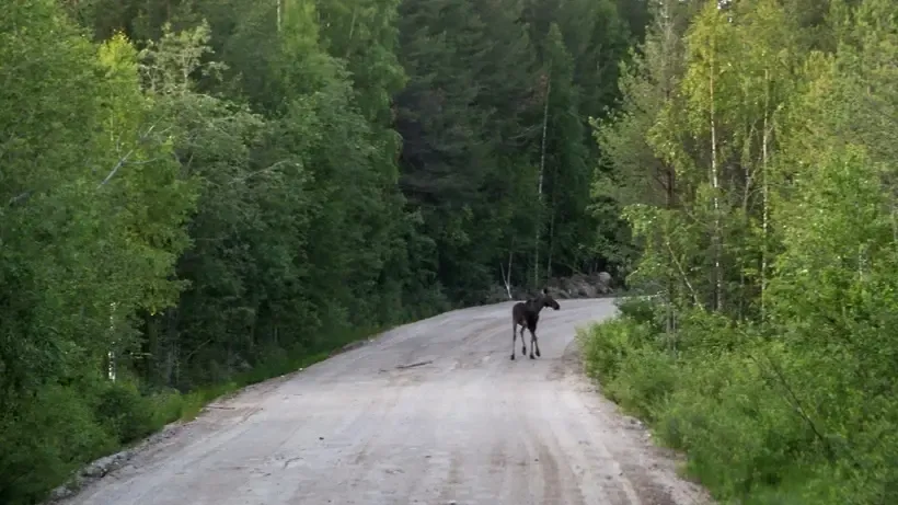 Фото: Илья Тимин