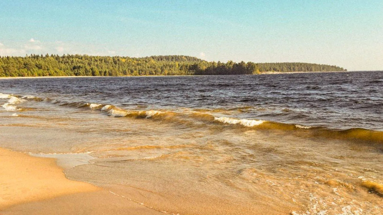 МедиаБанк Подмосковья/Елена Никольская