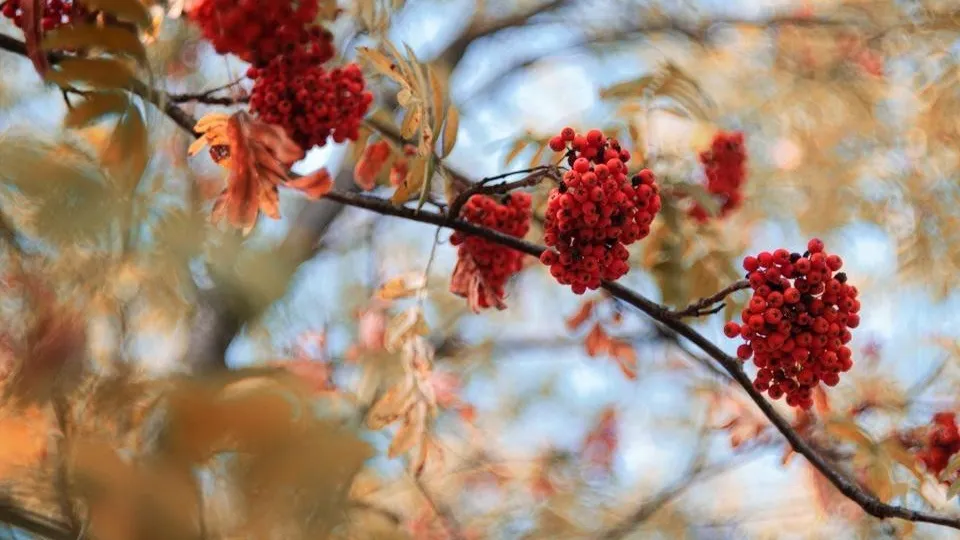 Фото: REGIONS/Наталия Надточая