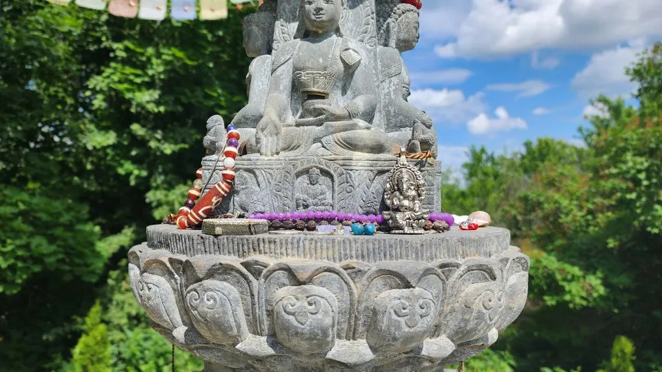 Фото: МедиаБанк Подмосковья/Мария Панина