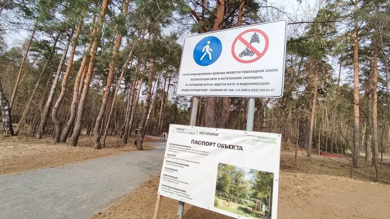 Фото: пресс-служба г.о. Лыткарино