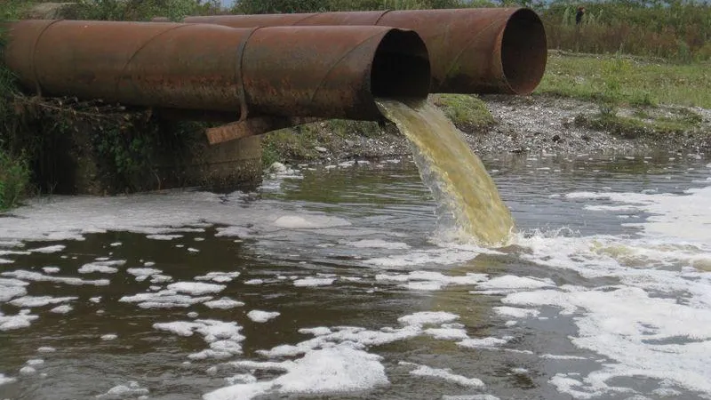 Тройное нарушение водного законодательства произошло в Одинцовском округе