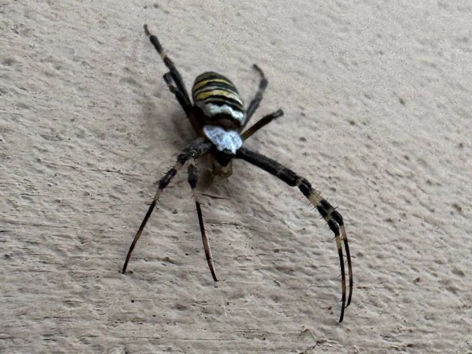 Фото: REGIONS/Владимир Ерастов