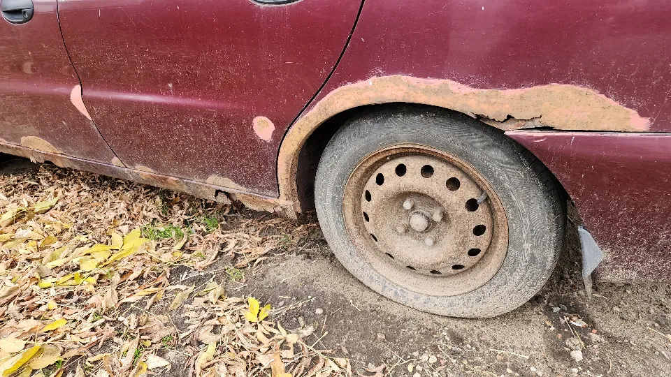 Фото: МедиаБанк Подмосковья/Ольга Сычева