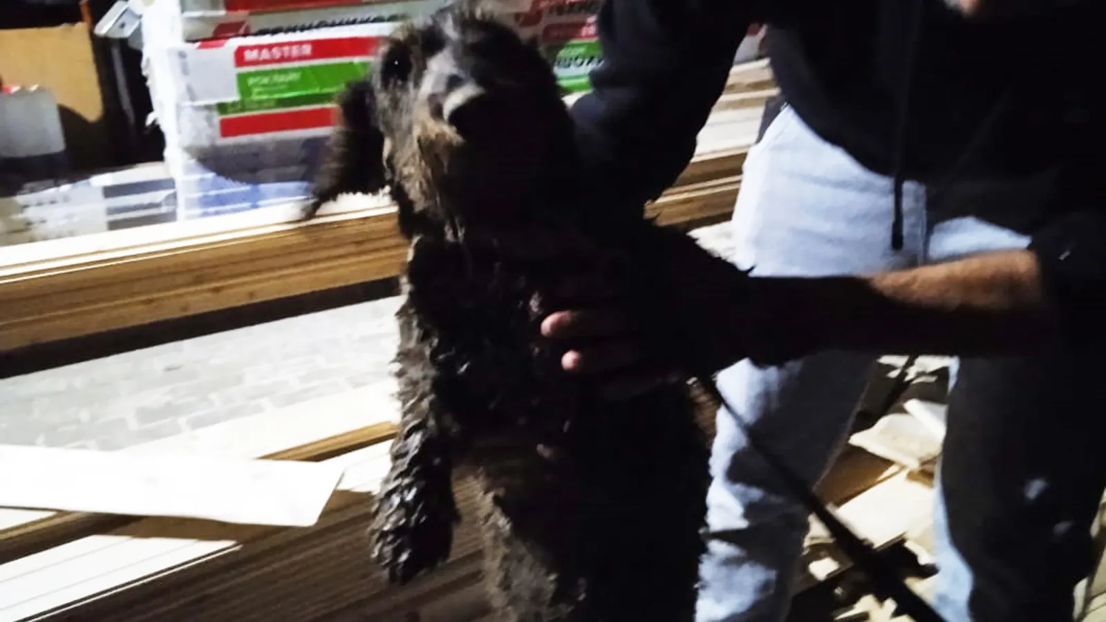 Фото: ГКУ МО «Мособлпожспас»