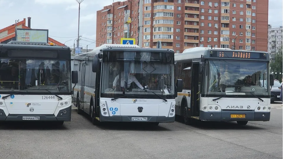 Фото: Алена Притула