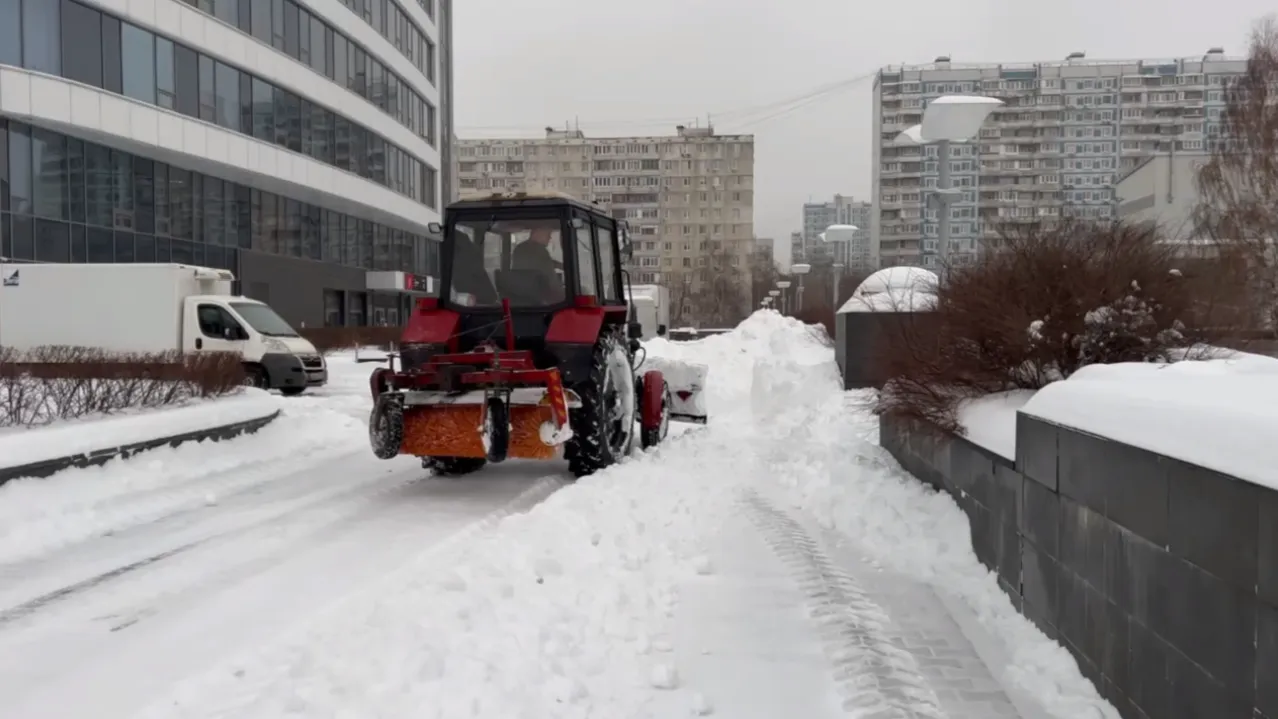 Андрей Савельев/Подмосковье сегодня