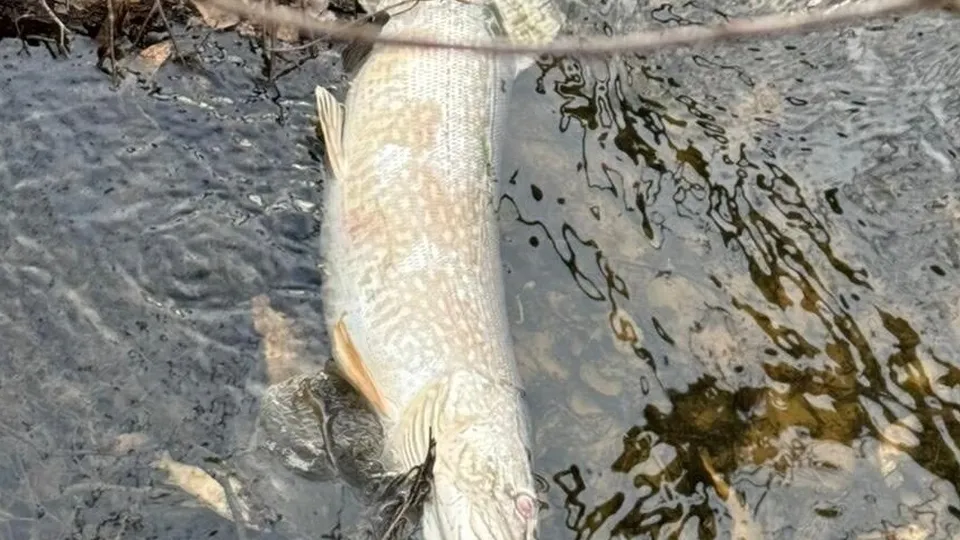 Фото: Андрей Цырков