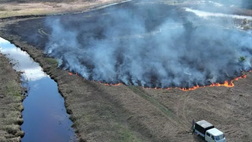 Комитет лесного хозяйства МО