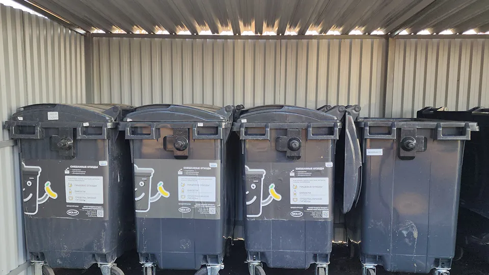 Фото: МедиаБанк Подмосковья/Мария Андрюхина