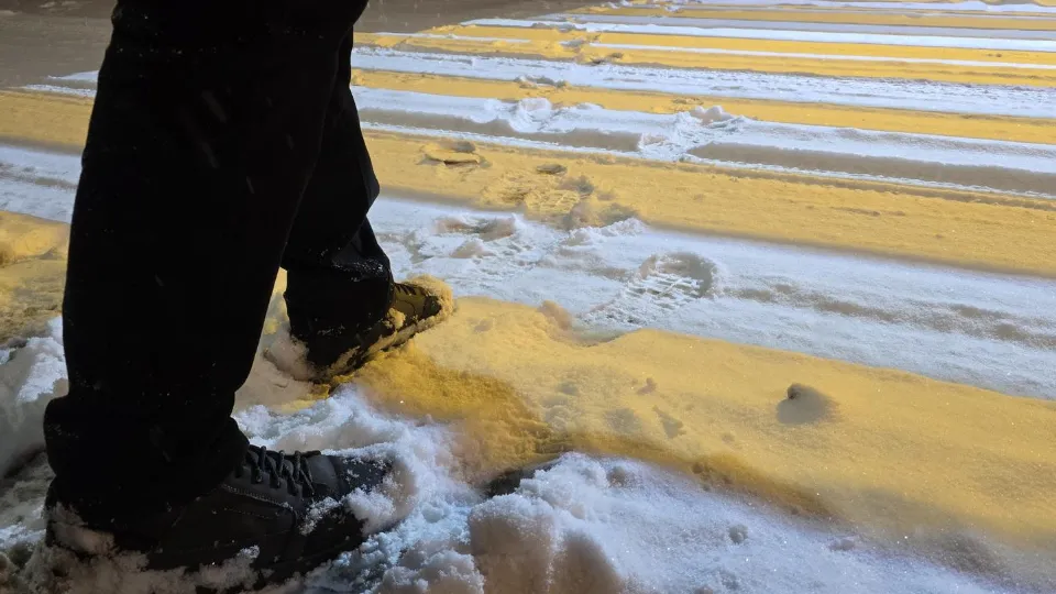 Фото: МедиаБанк Подмосковья/Марина Анисимова