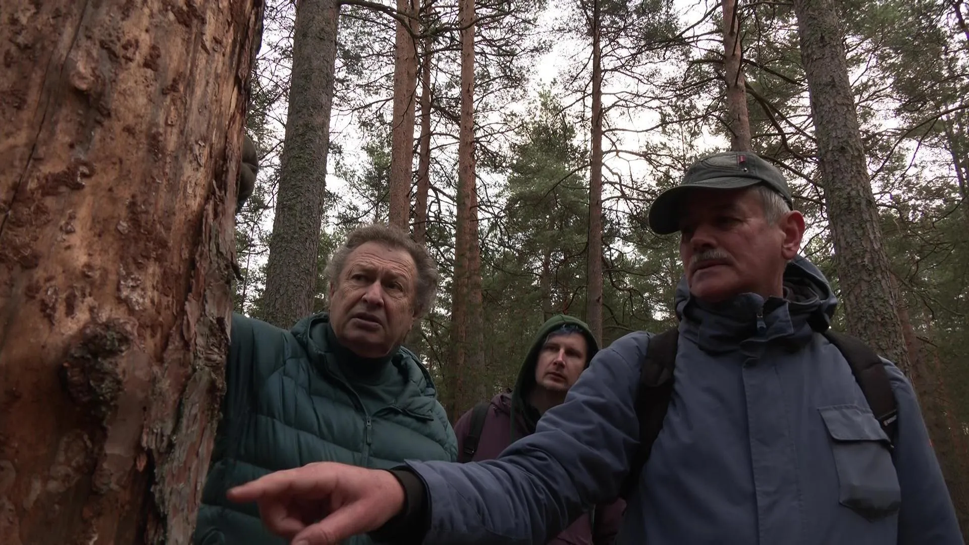 Пресс-служба администрации городского округа Дубна