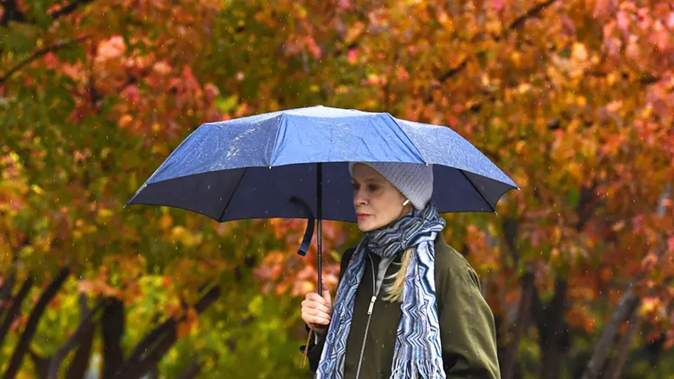 Фото: РИА Новости/Александр Кряжев