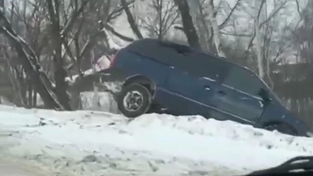 Фото: скриншот видео соцсети.