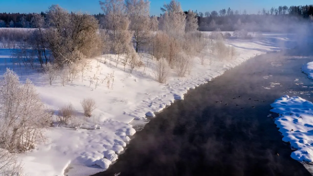 Медиаархив Подмосковья