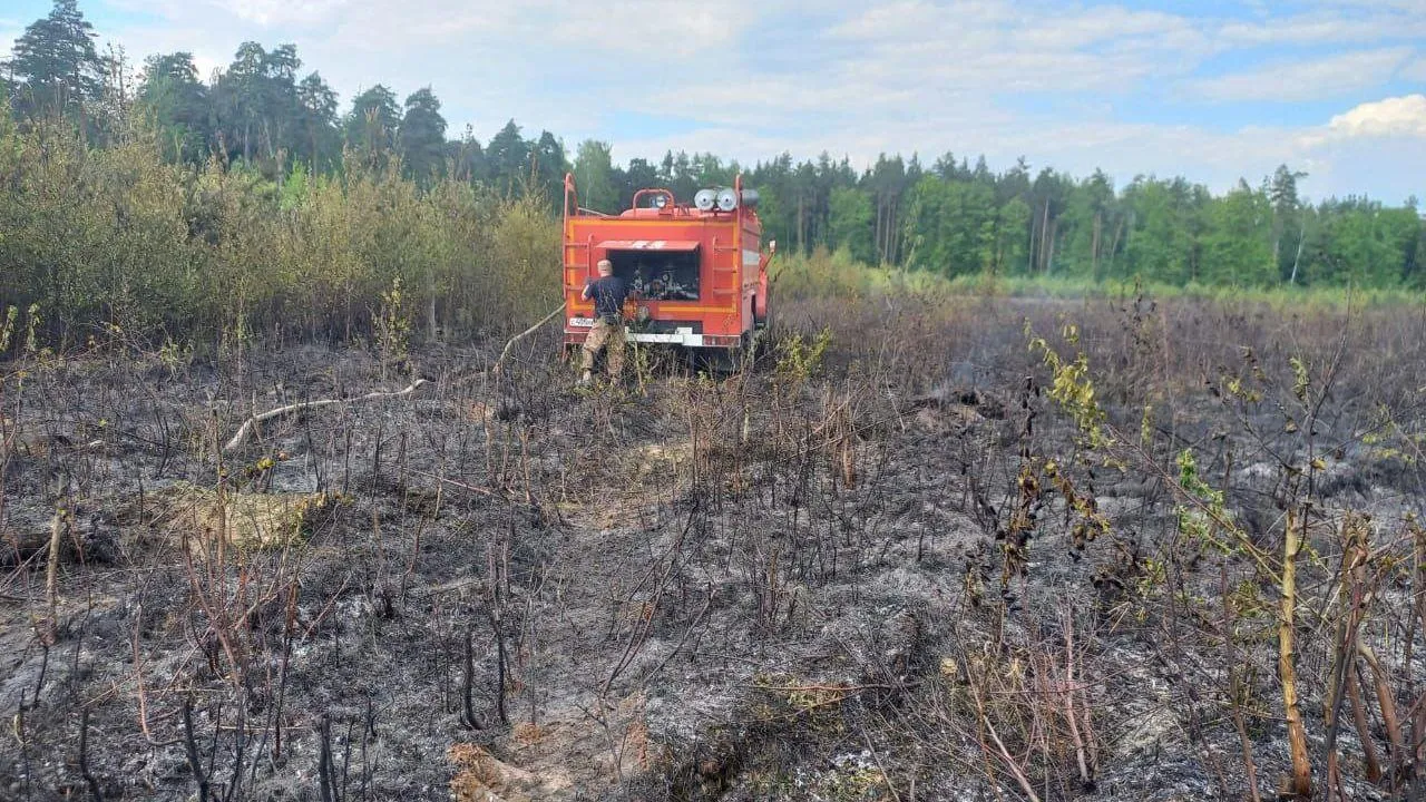 В Подмосковье за сутки ликвидировали серию лесных пожаров
