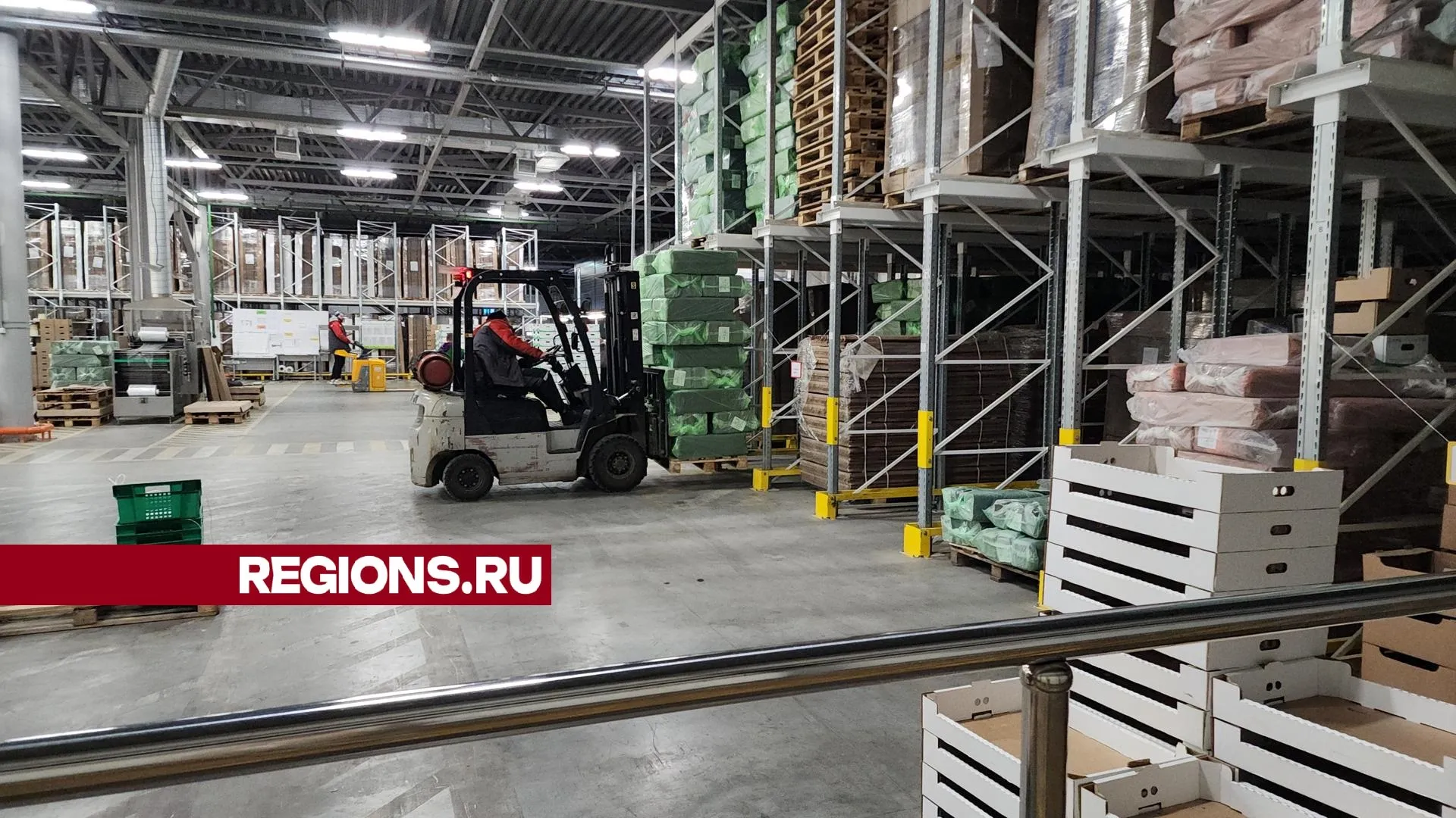 Фото: Нина Басистая