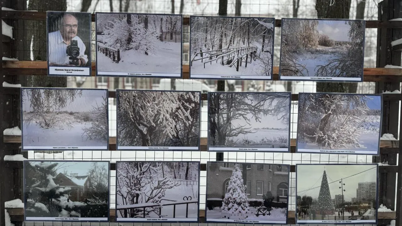 Полина Абраменко